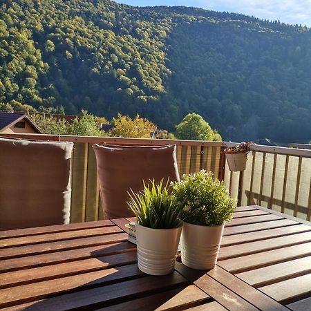 Miro Apartament Синая Экстерьер фото